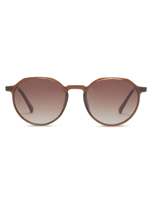Round sunglass Brown SPSG23679