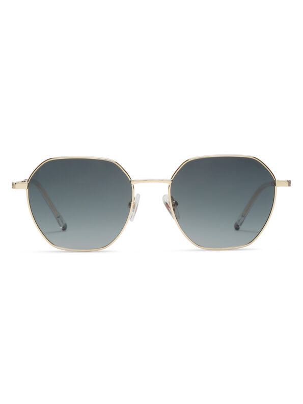 Hexagon Sunglass Gold SPSG23681