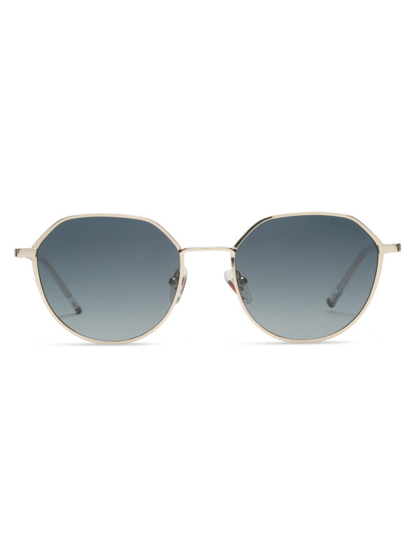 Hexagon Sunglass Gold SPSG23680